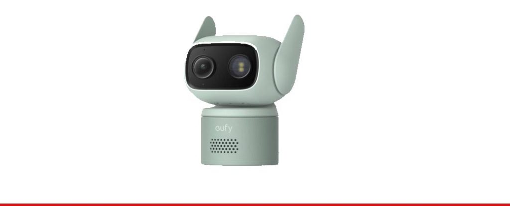 Surveillance Cameras